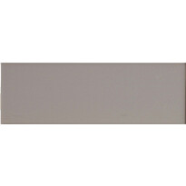 Seinälaatta Arredo Color Plata 10x30cm, matta, harmaa