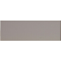 Seinälaatta Arredo Color Plata 10x30cm, matta, harmaa