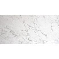 Lattialaatta Coem Marmor B Carrara 30x60cm, matta, valkoinen