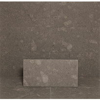 Lattialaatta Arredo Artstone 30.5x61cm, himmeä, harmaa
