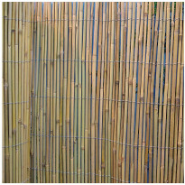 Bambuaita Home4you In Garden, 150x500cm