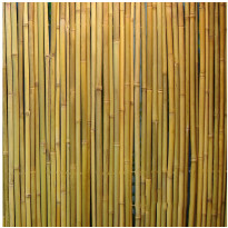 Bambuaita Home4you In Garden, 200x300cm