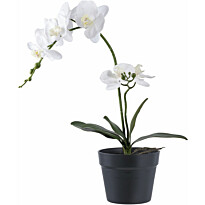 Tekokasvi House Nordic Orkidea, 49cm, valkoinen/vihreä