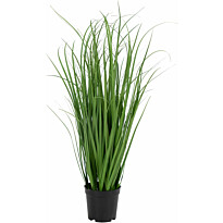 Tekokasvi House Nordic Poa-koristeheinä, 68cm, vihreä