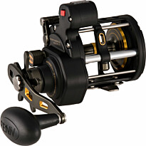 Hyrräkela Penn Fathom II 20 Level Wind