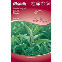 Salvian siemenet Weibulls mauste