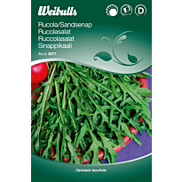 Rucola Weibulls hietasinappi siemenet