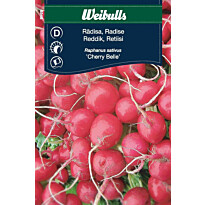 Retiisin siemenet Weibulls Cherry Belle