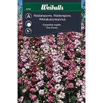 Rikkakukonkannus Weibulls The Pinks siemenet