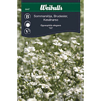 Kesäharsokukan siemenet Weibulls sommarslöja