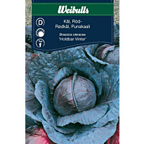 Kaalinsiemenet Weibulls punakaali