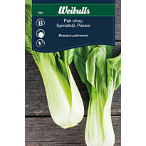 Kaalinsiemenet Weibulls pak choi