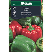 Paprika Weibulls California Wonder siemenet