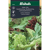 Salaatin siemenet Weibulls baby leaf mix