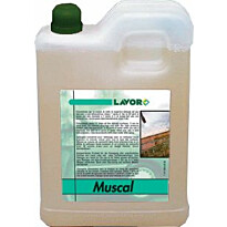 Puhdistusaine Lavor Muscal 2l