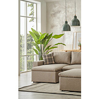 Divaanisohva Linento Furniture Flov, 3-istuttava, kerma
