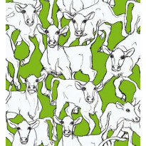Kuitutapetti Marimekko Iltavilli, 14105, 0,70x10,05m, non-woven