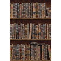 Paneelitapetti Mindthegap Book Shelves, 1.56x3m