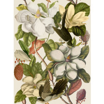 Paneelitapetti Mindthegap Magnolia Taupe, 1.56x3m
