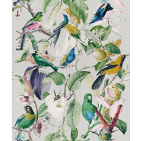 Paneelitapetti Mindthegap Tropical Birds, 1.56x3m