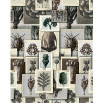 Paneelitapetti Mindthegap Blossfeldt&#039;s Art Forms, 1.56x3m, harmaa