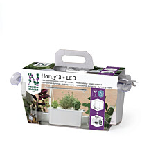 Vesiviljelyn aloituspakkaus/lahjapakkaus Nelson Garden Harvy3, 3 osaa