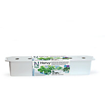 Vesiviljelylaatikko Nelson Garden Harvy6, 80cm, valkoinen