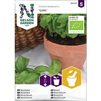 Maustebasilika Nelson Garden Loki Organic, siemenet