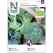Parsakaali Nelson Garden Calabrese Natalino Organic, siemenet