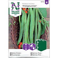 Ruusupapu Nelson Garden Preisgewinner, siemenet