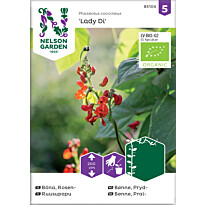 Ruusupapu Nelson Garden Lady Di Organic, siemenet