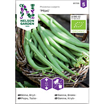 Taitepapu Nelson Garden Maxi Organic, siemenet