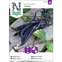 Taitepapu Nelson Garden Mistik, siemenet