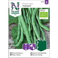 Salkopapu Nelson Garden Markant Organic, siemenet