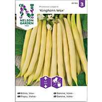 Vahapapu Nelson Garden Kinghorn Wax, siemenet