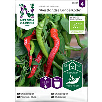 Chilipaprika Nelson Garden Westlandse Lange Organic, siemenet