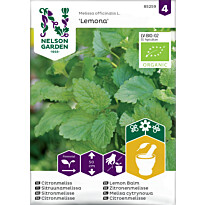 Sitruunamelissa Nelson Garden Lemona Organic, siemenet