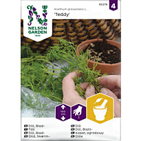 Tilli Nelson Garden Teddy, siemenet