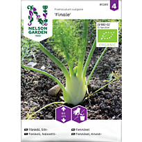 Salaattifenkoli Nelson Garden Finale Organic, siemenet