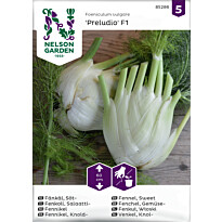Salaattifenkoli Nelson Garden Preludio F1, siemenet