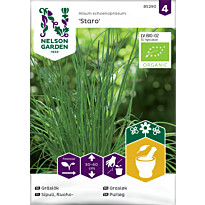 Ruohosipuli Nelson Garden Staro Organic, siemenet