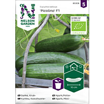 Kasvihuonekurkku Nelson Garden Picolino F1 Organic, siemenet