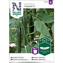Kasvihuonekurkku Nelson Garden Futura F1, siemenet