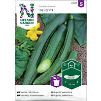 Kasvihuonekurkku Nelson Garden Bella F1, siemenet