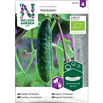 Avomaankurkku Nelson Garden Marketer Organic, pitkä, siemenet