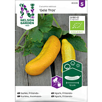 Avomaankurkku Nelson Garden Gele Tros Organic, siemenet