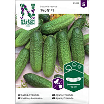 Avomaankurkku Nelson Garden Profi F1, siemenet