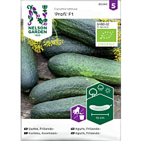 Avomaankurkku Nelson Garden Profi F1 Organic, siemenet