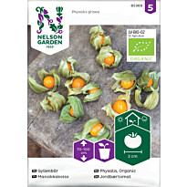 Mansikkakoiso Nelson Garden Organic, siemenet