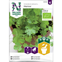 Korianteri Nelson Garden Marino Organic, siemenet